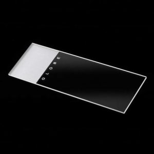 Globe Scientific Globe Scientific Microscope Slide, 25 x 75 x 1 mm