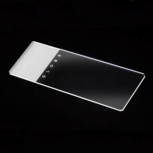 Globe Scientific Globe Scientific Microscope Slides, Glass, Safety Corners, 25 x 75mm