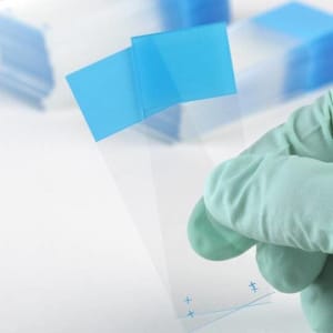 Globe Scientific Positive Charged Microscope Slide