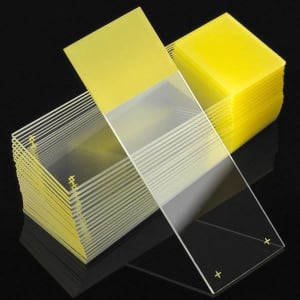Globe Scientific DiamondÂ® White Glass Charged Positive Charged Microscope Slide, Yellow End