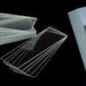 Propper Manufacturing Bev-L-EdgeÂ® Microscope Slide, 25 x 75 x 1 mm
