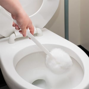 R3 LLC ACS Bowl Brush