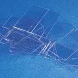 Erie Scientific Cover Glass, 22 x 22 mm