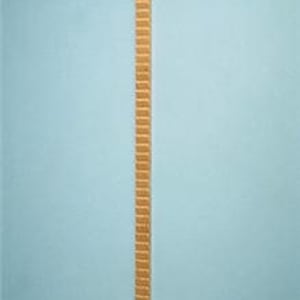 Alimed Shoulder Finger Ladder Exerciser