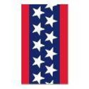 BSN Medical Cast Tape Delta-CastÂ® Prints 2 Inch X 12 Foot Polyester Stars and Stripes Print