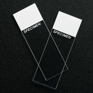 Erie Scientific SPÂ® SuperfrostÂ® Microscope Slide