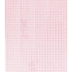 Nissha Medical Tech Recording Chart Paper Welch AllynÂ® Z-Fold Red Grid