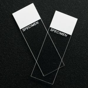 Erie Scientific Charged Microscope Slide SuperfrostÂ® ColorfrostÂ® Plus 25 X 75 X 1 mm Yellow Frosted End