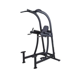 SportsArt A994 Dip/Pull-Up/Vkr