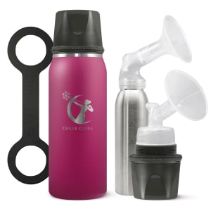 Ceres Chill Co Ceres Chill OG Stainless Steel Breast Milk Chiller Container, Fuchsia