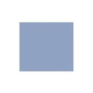 Cardinal Absorbent Floor Mat Medical Concepts 48 X 64 Inch Blue