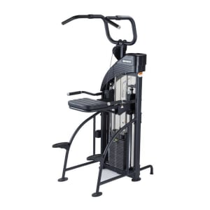 SportsArt Df-307 Performance Dual Function Chin-Up/Tricep Dip