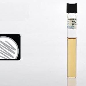 Hardy Diagnostics Prepared Media Thioglycollate Medium Beige Tube Format