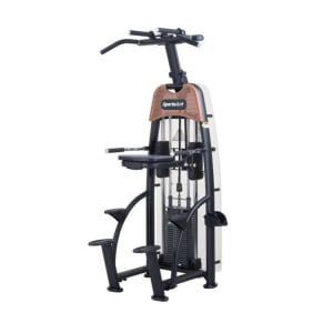 SportsArt N911 Status Assisted Chin-Up & Tricep Dip