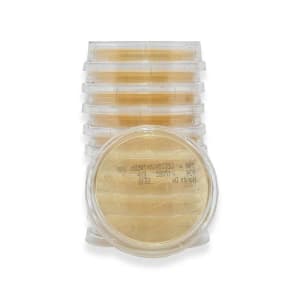 Acute Care Pharmaceuticals Prepared Media Lok-Tightâ„¢ Tryptic Soy Agar (TSA) with Lecithin and TweenÂ® 80 Beige Contact Plate