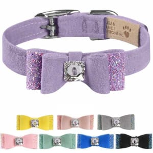 Stellar Bow Designer Dog Collar
