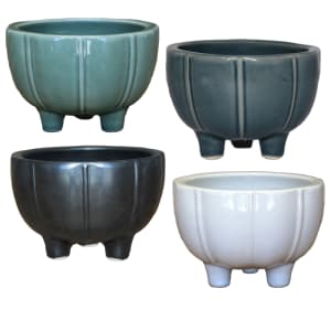 Desert Garden Ceramic Pot