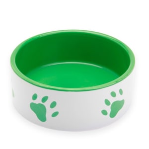 Dog Bowl
