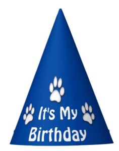 It's My Birthday Hat for Dogs