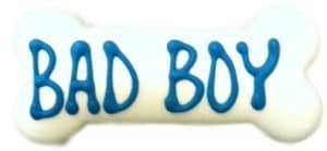 Bad Boy Bones (each) - Wholesale (4")
