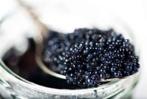 photo of American Sturgeon Hackleback Caviar