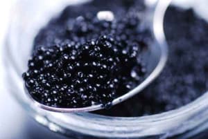 photo of White Sturgeon Osetra Caviar