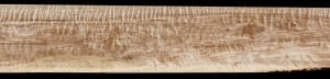 Curly White Oak - 95" x 9 1/8" x 3/4" - $120.00