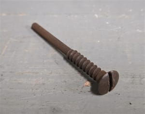 Butt Plate Screw