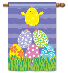 Chicks Rule BreezeArt Standard House Flag