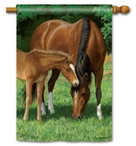 Grazing BreezeArt Standard House Flag