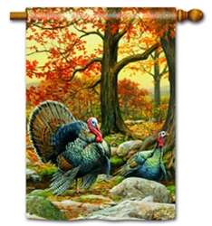Turkeys BreezeArt Decorative House Flag