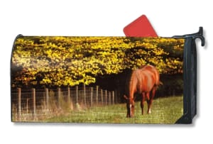 Out to Pasture Large MailWraps Magnetic Mailbox Cover