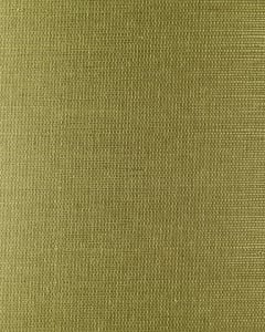 photo of Soft Sage Sisal Grasscloth from Grasscloth + More