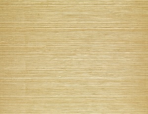 photo of Natural Blend Sisal Grasscloth from Grasscloth + More