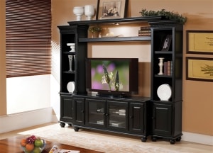 Ferla Entertainment Center in Black Finish by Acme - 91100
