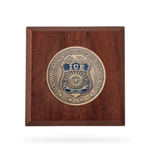 Wooden Paperweight w/ Coin (ICE)