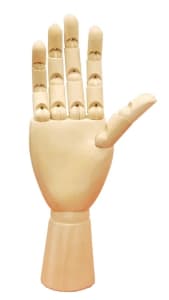 Posable wooden female hand display with articulated fingers