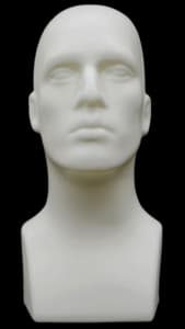 Display Head Form