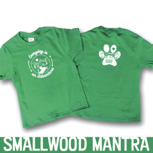 This is a tee shirt that reads Everyday is an Adventure green tee shirt