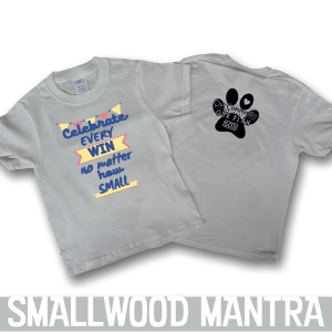 This is a tee shirt that reads Celebrate every win, no matter how small grey tee shirt