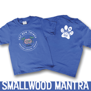 This is a tee shirt that reads Try New Things royal blue tee shirt