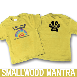 This is a tee shirt that reads Count Your Rainbows Not Your Thunderstorms Yellow tee shirt