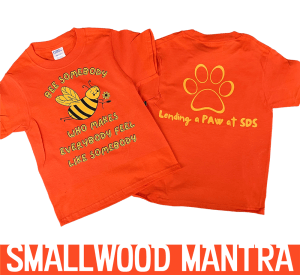 BEE SOMEBODY Orange Short Sleeve Tee Shirt