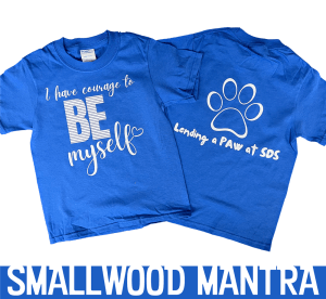 COURAGE TO BE ME  Royal Short Sleeve Tee Shirt