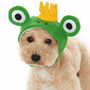 Frog Prince Hat Dog Costume