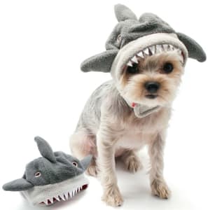 Shark Hat Dog Costume