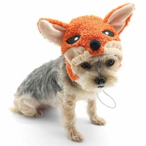 Fox Hat Dog Halloween Costume