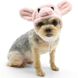 Pink Piggy Hat Dog Halloween Costume