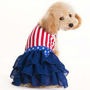 American Girl Small Dog Dress