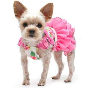 Pink Floral Flounce Summer Dog Dress